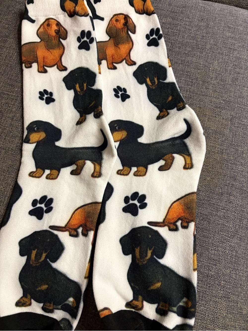 New Dachshund socks adult size